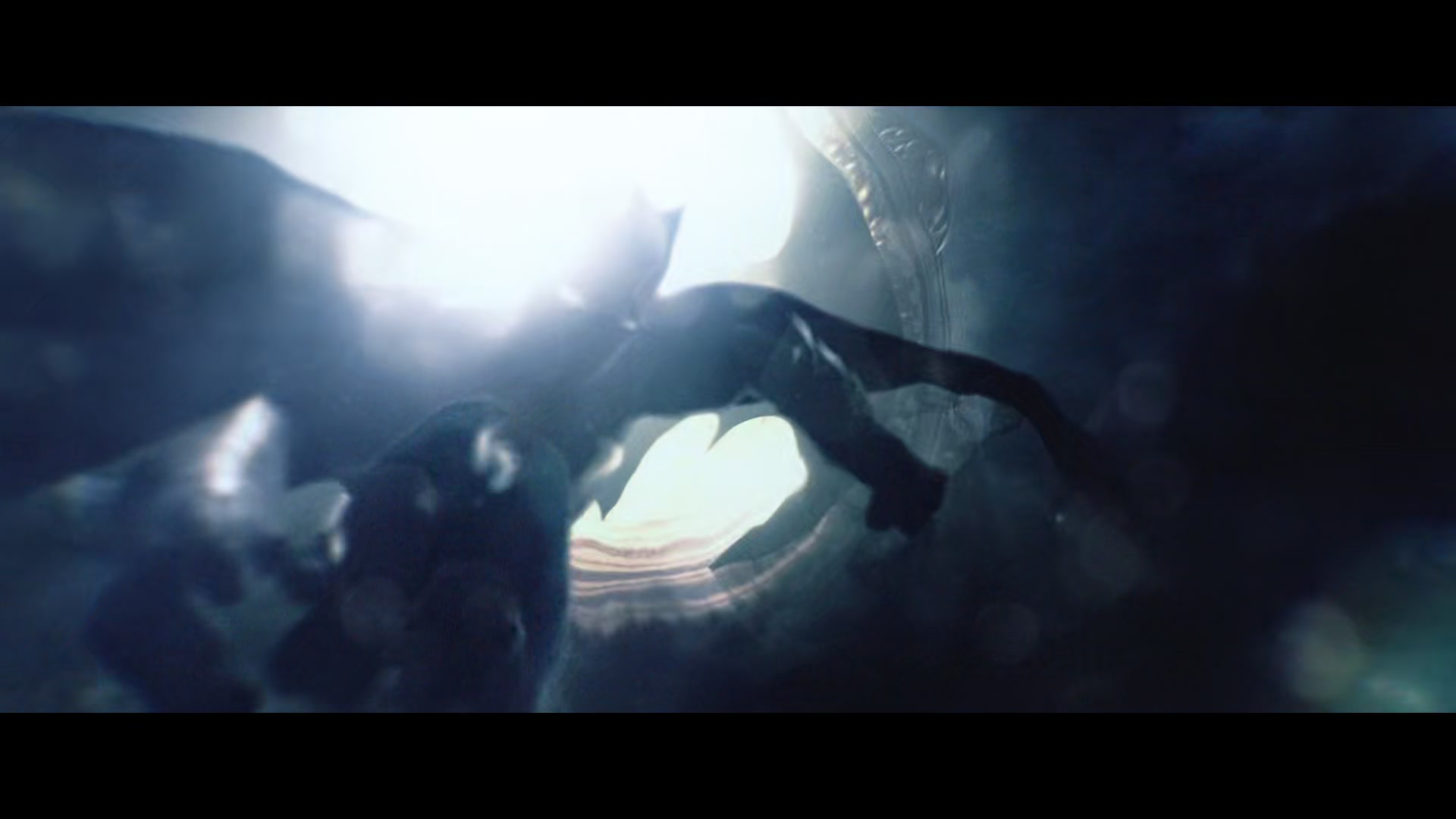 Aquaman_0008.jpg