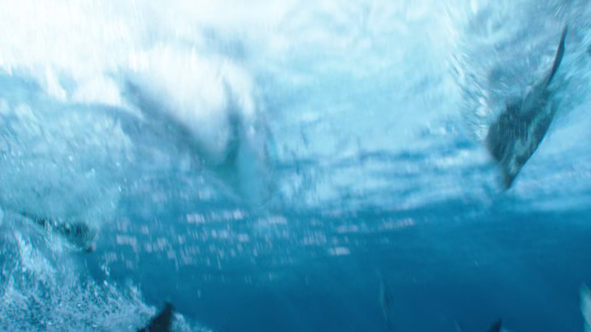 Aquaman_0834.jpg