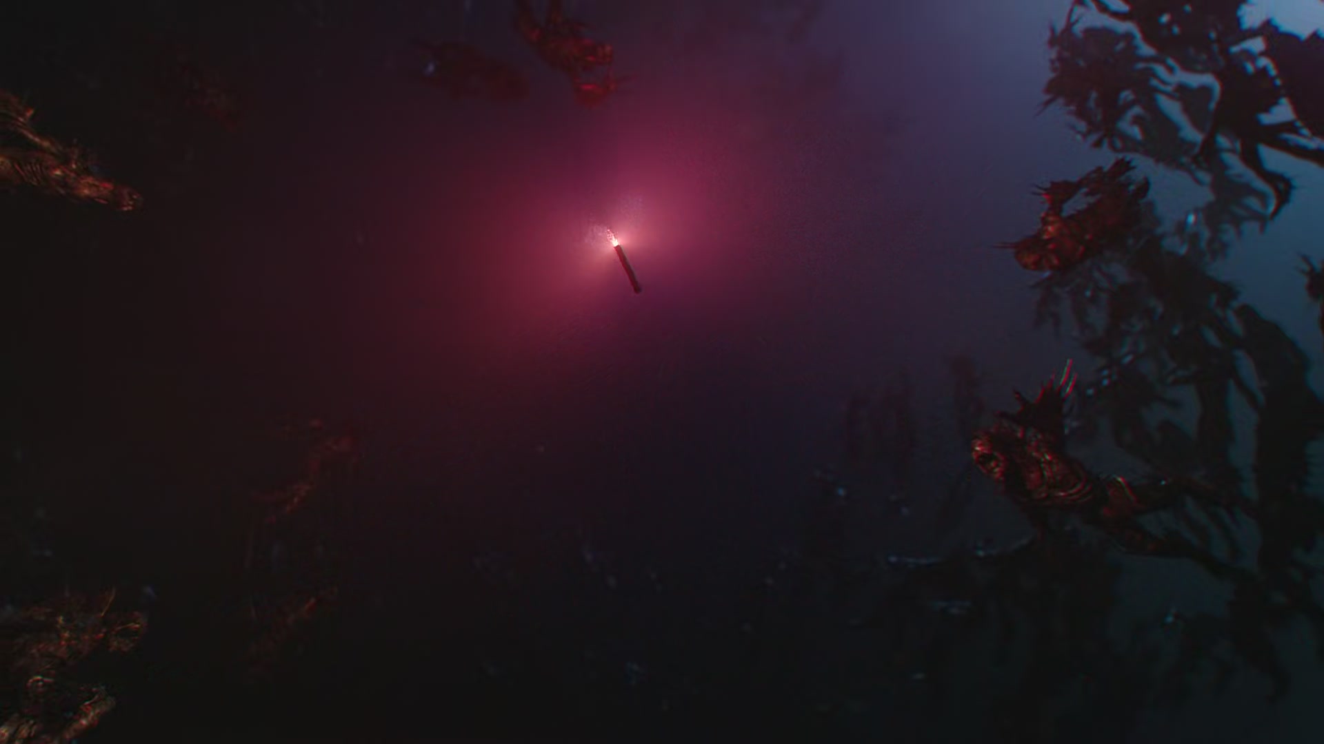 Aquaman_2792.jpg