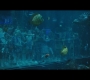 Aquaman_0205.jpg