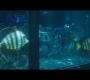 Aquaman_0206.jpg
