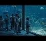 Aquaman_0211.jpg