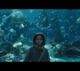 Aquaman_0229.jpg