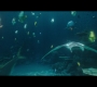 Aquaman_0230.jpg