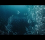 Aquaman_0233.jpg