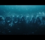 Aquaman_0234.jpg