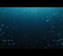Aquaman_0235.jpg