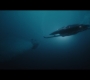 Aquaman_0238.jpg