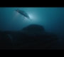 Aquaman_0240.jpg