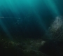 Aquaman_0600.jpg