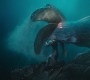 Aquaman_0621.jpg