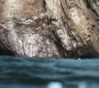 Aquaman_0808.jpg