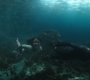 Aquaman_0810.jpg