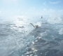 Aquaman_0832.jpg