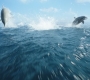 Aquaman_0833.jpg