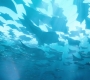 Aquaman_0835.jpg