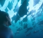 Aquaman_0839.jpg