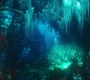 Aquaman_0868.jpg