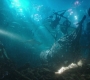Aquaman_0917.jpg