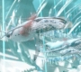 Aquaman_1095.jpg