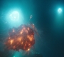 Aquaman_1317.jpg
