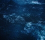 Aquaman_2761.jpg