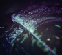 Filename=Aquaman_2786.jpg
Filesize=125KiB
Dimensions=1920x1080
Date added=Oct 12, 2021 Aquaman_2786.jpg
