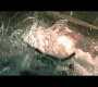 Aquaman_2833.jpg