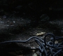 BB-01343.jpg
