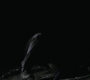 BB-01354.jpg