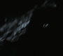 BB-01358.jpg