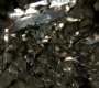 BB-02730.jpg