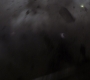 BB-02894.jpg