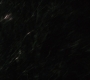 BB-02900.jpg