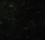 BB-02901.jpg