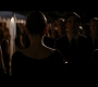 TDKR-00192.jpg