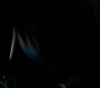 TDKR-01588.jpg