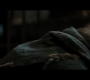TDKR-02460.jpg