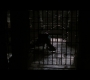 TDKR-03010.jpg
