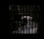 TDKR-03011.jpg