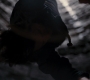 TDKR-03391.jpg
