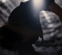 TDKR-03392.jpg