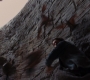 TDKR-03454.jpg