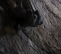 TDKR-03468.jpg
