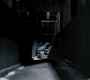 Filename=TDKR-03761.jpg
Filesize=132KiB
Dimensions=1920x1080
Date added=Oct 13, 2021 TDKR-03761.jpg