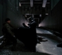 TDKR-03810.jpg