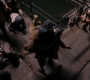 Filename=TDKR-04106.jpg
Filesize=176KiB
Dimensions=1920x1080
Date added=Oct 13, 2021 TDKR-04106.jpg