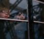 Filename=TDKR-04533.jpg
Filesize=151KiB
Dimensions=1920x1080
Date added=Oct 13, 2021 TDKR-04533.jpg