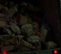 TheDarkKnight0589.jpg