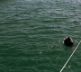TheDarkKnight0775.jpg